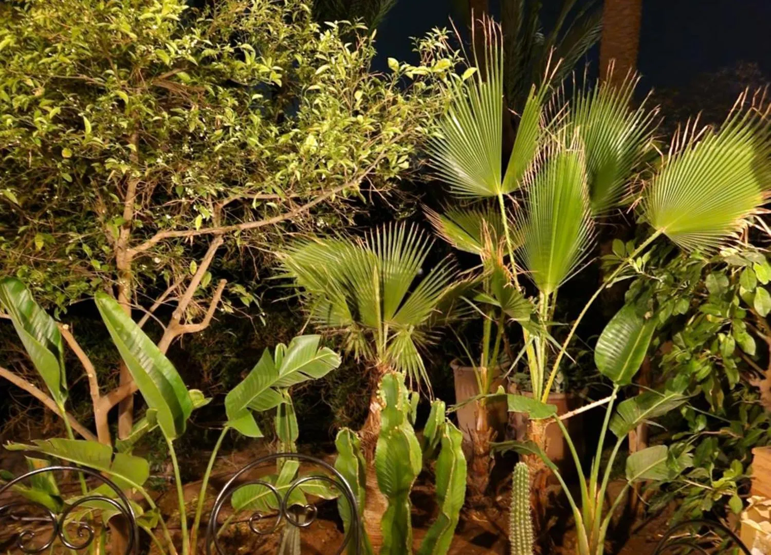 Les Jardins De La Palmeraie 2 Appart Marrakesh 0*,
