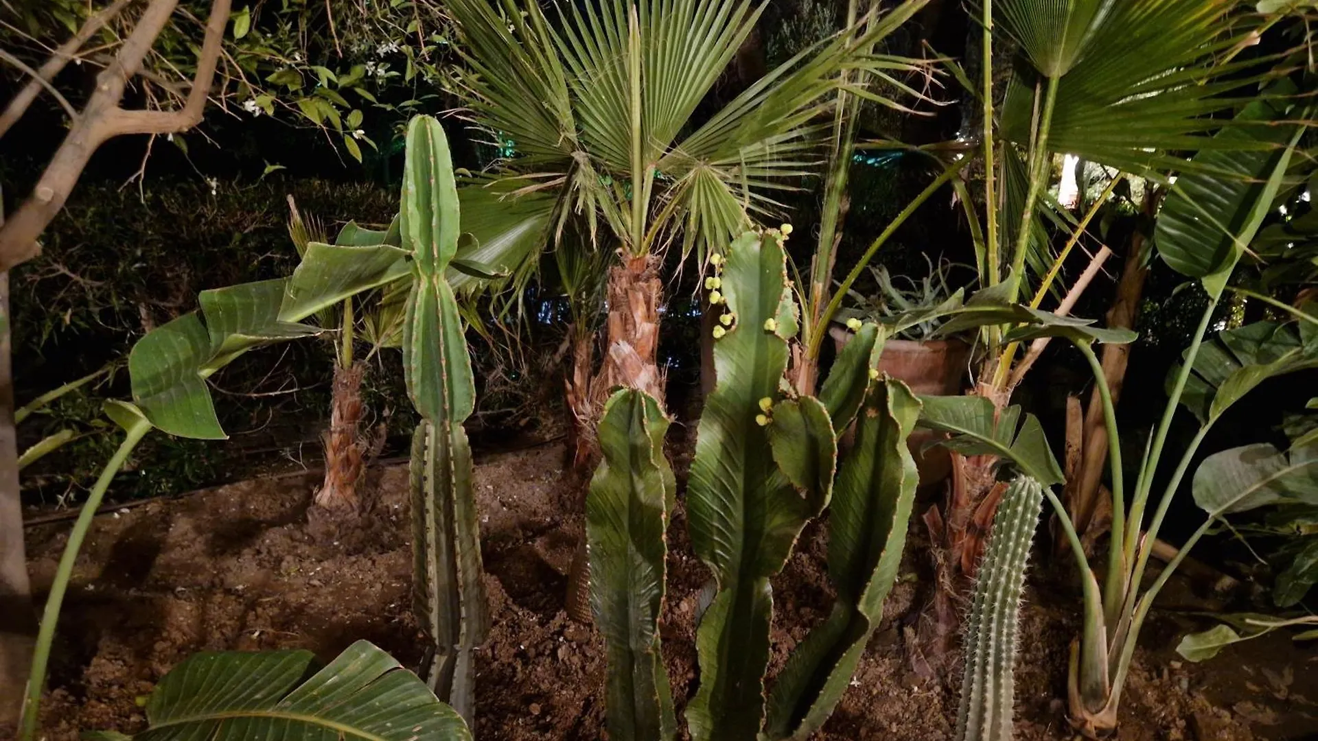Les Jardins De La Palmeraie 2 Appart Marrakesh Apartment